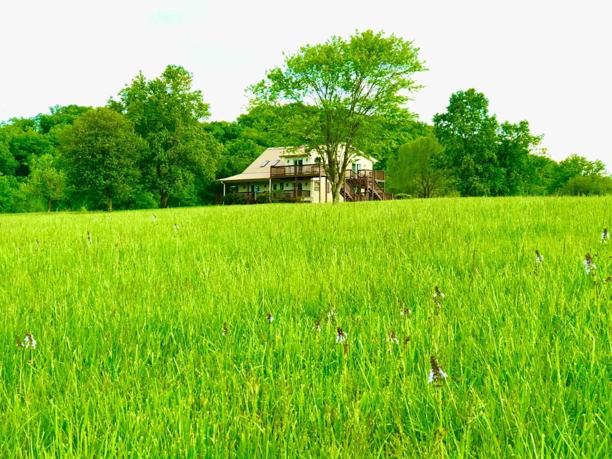Little River Guest House At Tennessee Riverplace Чаттануга Экстерьер фото